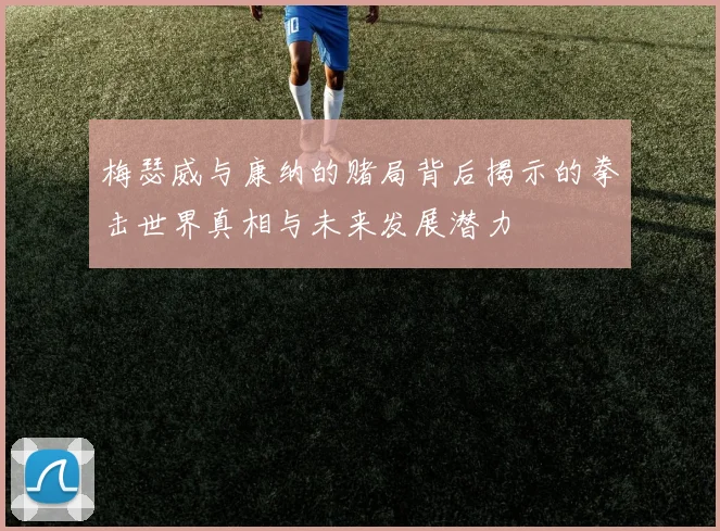 梅瑟威与康纳的赌局背后揭示的拳击世界真相与未来发展潜力